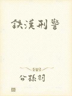 铁汉刑警