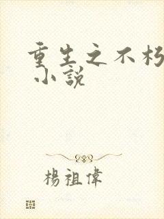 重生之不朽传奇 小说