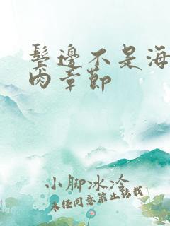 鬓边不是海棠红肉章节