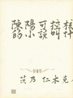 陈阳可控核聚变的小说叫什么名字