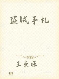 盗贼手札