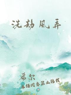 洗劫 风弄