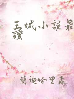 王城小说最近阅读