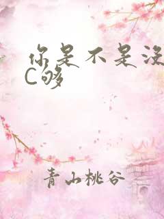 你是不是没有被C够