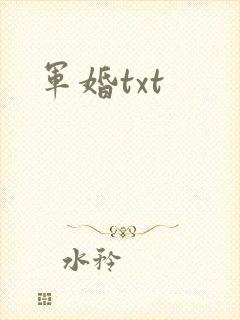军婚txt