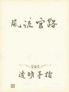 风流官路