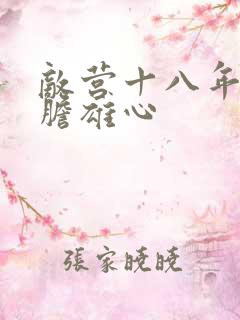 敌营十八年2虎胆雄心