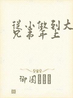 从小做到大骨科兄弟年上