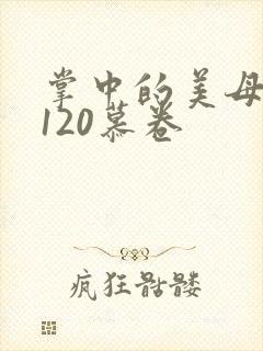 掌中的美母版主120慕卷