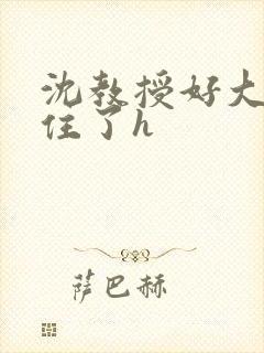 沈教授好大含不住了h