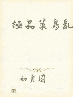 极品菜鸟乱江湖