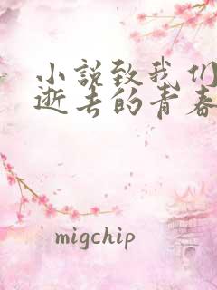 小说致我们终将逝去的青春