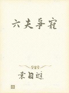 六夫争宠