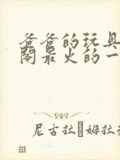 爸爸的玩具笔趣阁最火的一句