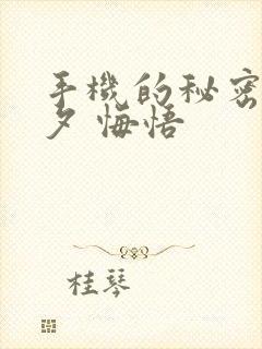 手机的秘密 七夕 悔悟