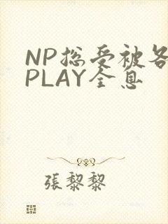 NP总受被各种PLAY全息