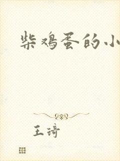 柴鸡蛋的小说
