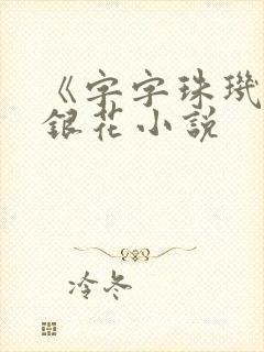 《字字珠玑》金银花小说