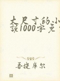 大尺寸的小黄说说1000字免费