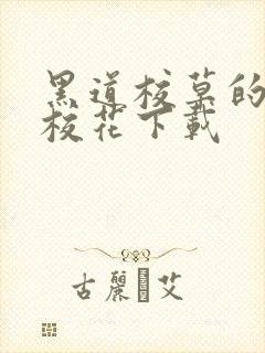 黑道校草的黑道校花下载