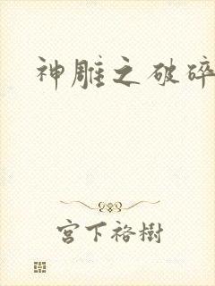 神雕之破碎之旅