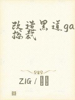 改造黑道gay总裁