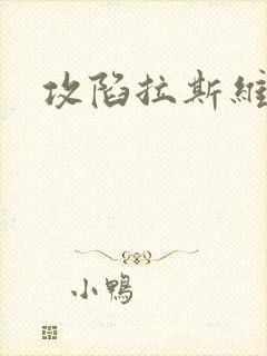 攻陷拉斯维加斯