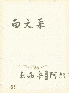 白文采