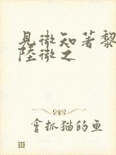 见微知著黎见卿陆微之