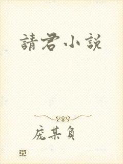 请君小说