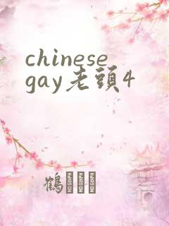 chinesegay老头4
