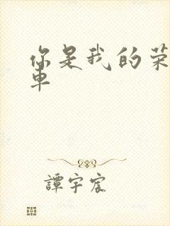 你是我的荣耀肉车