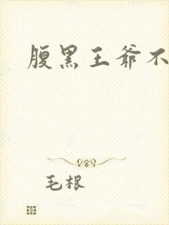 腹黑王爷不良妻