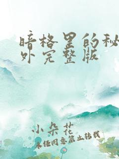 暗格里的秘密番外完整版