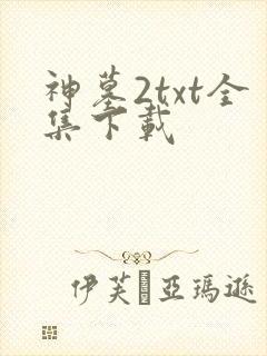 神墓2txt全集下载