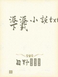 派派小说txt下载