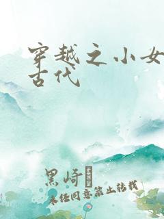 穿越之小女子闹古代