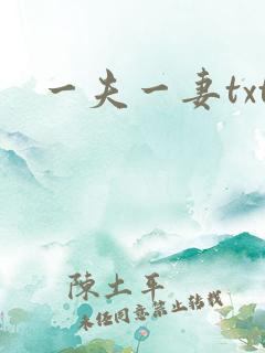 一夫一妻txt