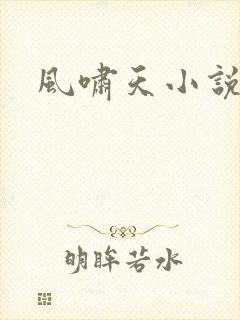 风啸天小说