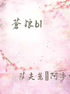 苍狼bl