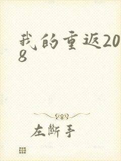我的重返2008