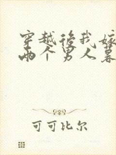 穿越后我嫁给了两个男人暮色酒歌