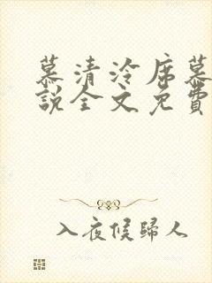 慕清泠席慕深小说全文免费阅读