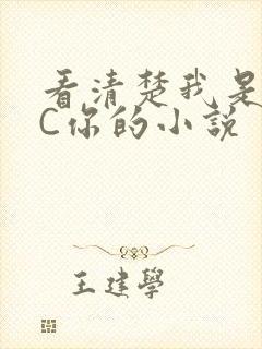 看清楚我是怎么C你的小说