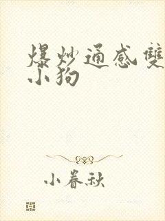 爆炒通感双胞胎小狗