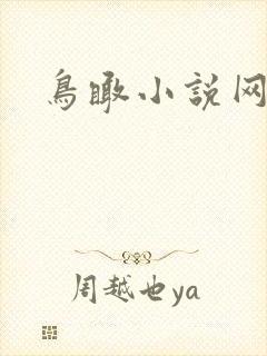 鸟瞰小说网