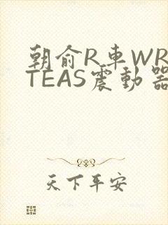 朝俞R车WRITEAS震动器