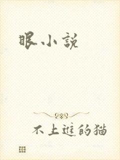 眼小说
