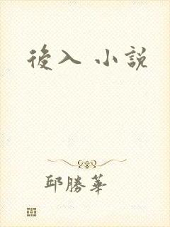 后入 小说