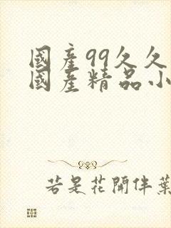 国产99久久久国产精品小说